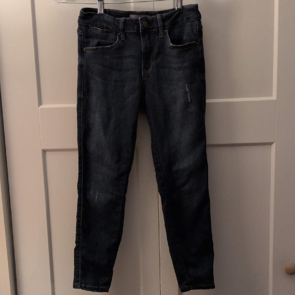 Just USA Dark Wash Skinny Jeans